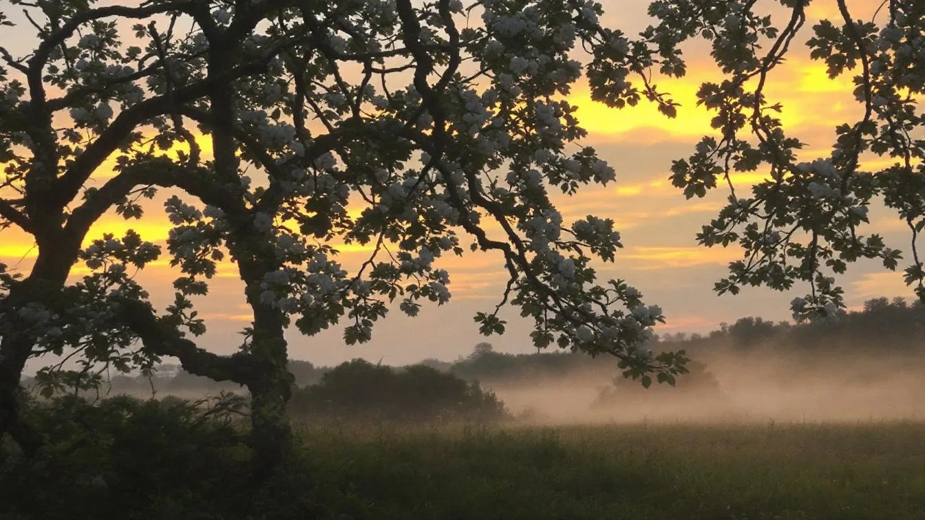 Dimmi come tieni la tazza di caffè e ti dirò chi sei: il test psicologico che non sbaglia mai